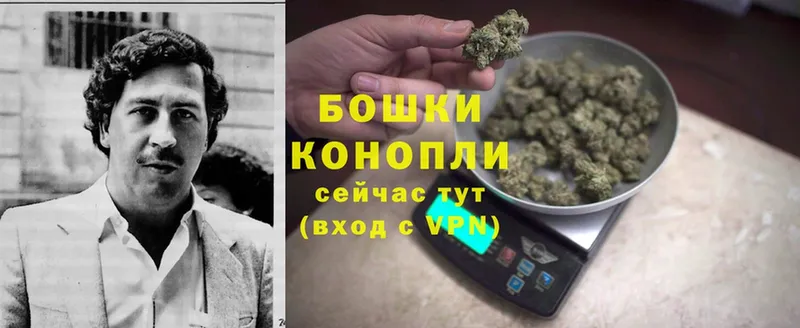 нарко площадка состав  купить наркотик  Куровское  Бошки марихуана White Widow 